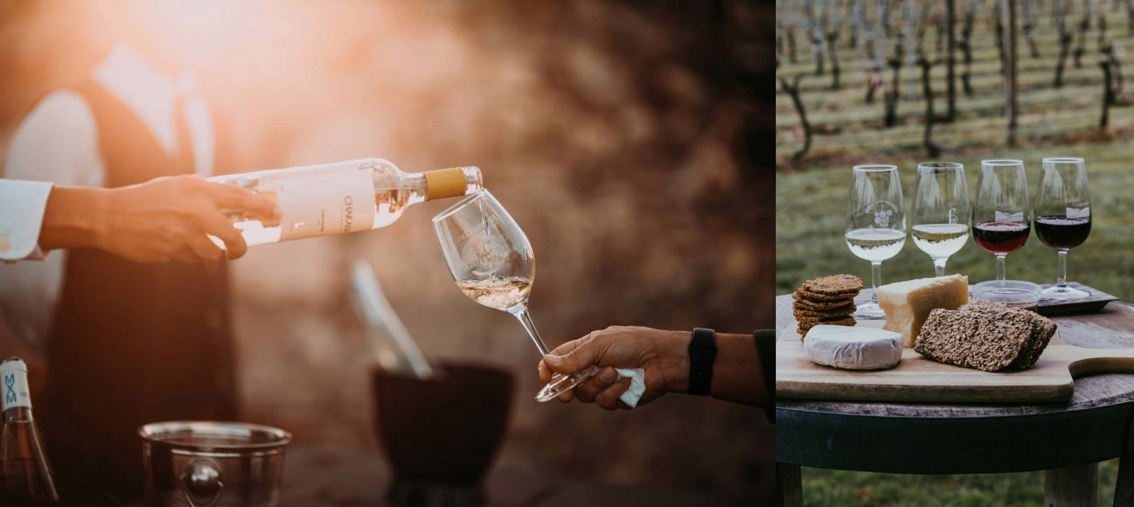 Dr. Johns Perfect Pour Wine Consulting